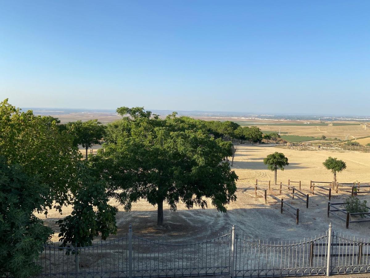 Sevilla Saltera Casa Rural Cerca Centro De Sevilla Familiar - Trabajo - Wifi Salteras ภายนอก รูปภาพ