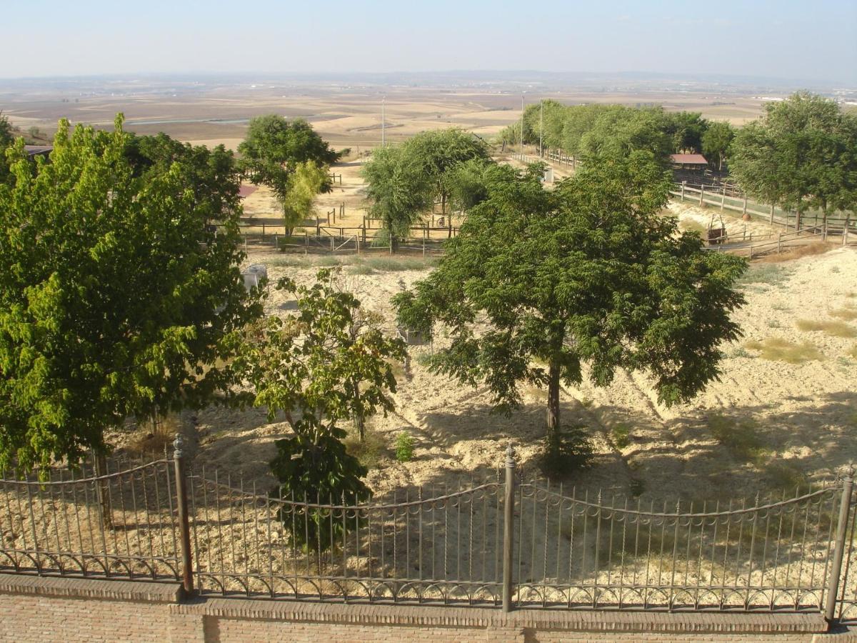 Sevilla Saltera Casa Rural Cerca Centro De Sevilla Familiar - Trabajo - Wifi Salteras ภายนอก รูปภาพ
