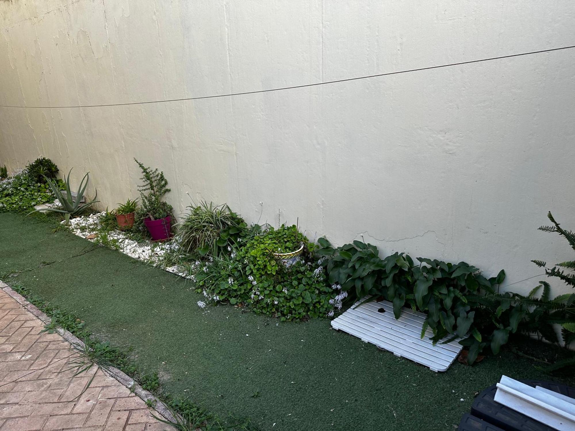 Sevilla Saltera Casa Rural Cerca Centro De Sevilla Familiar - Trabajo - Wifi Salteras ภายนอก รูปภาพ